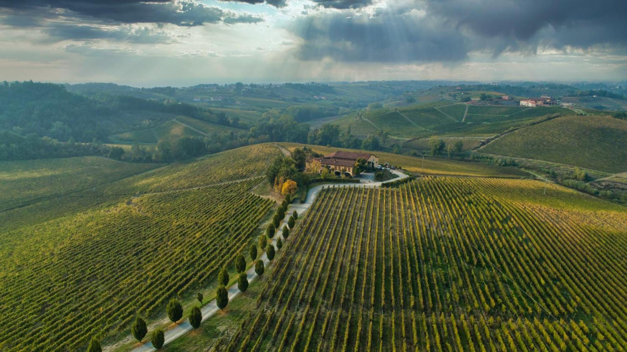 Tenuta La Meirana Gavi 빌라 외부 사진