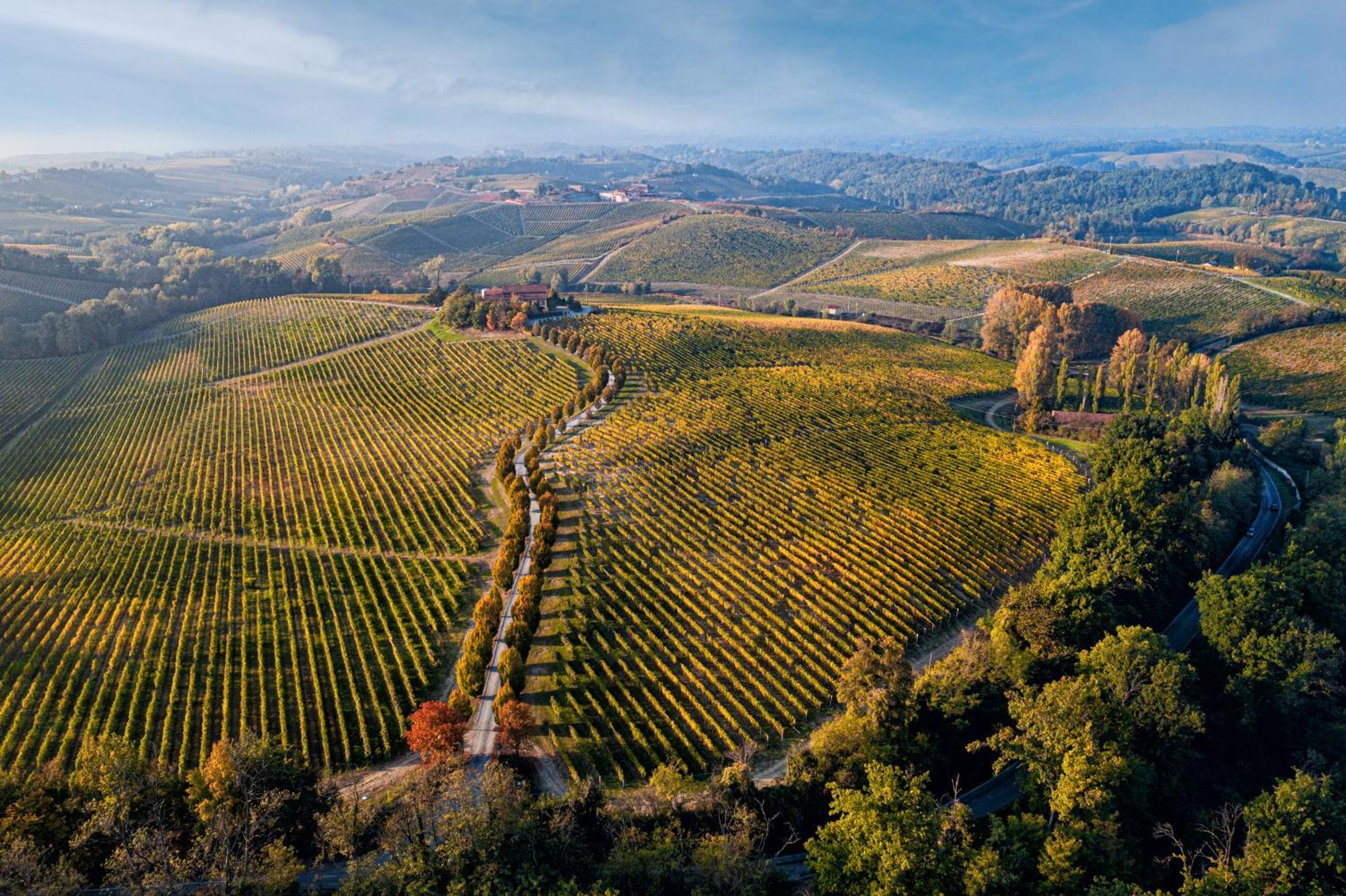 Tenuta La Meirana Gavi 빌라 외부 사진