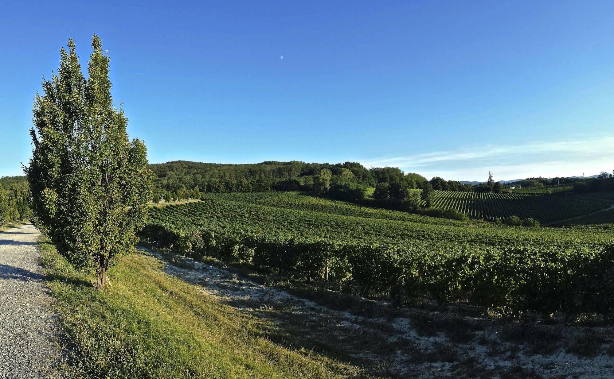 Tenuta La Meirana Gavi 빌라 외부 사진